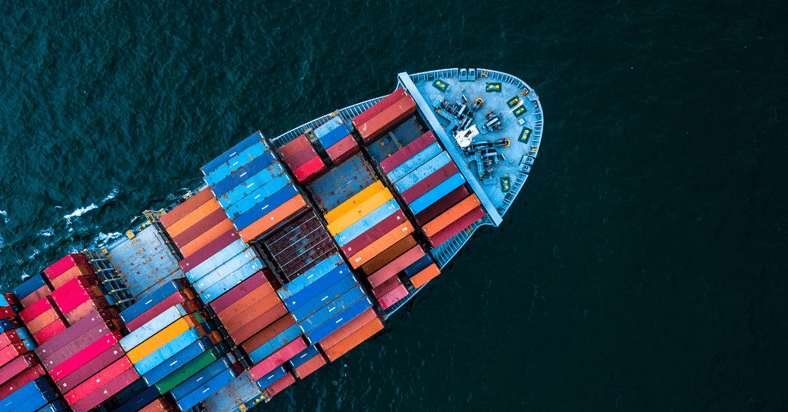 Management of investments in containers and swap bodies