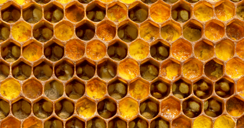 Cellular platforms: GENTWO sets new safety standards for securitization platforms